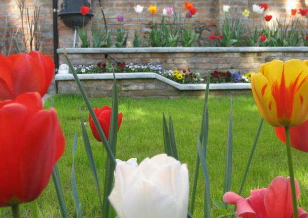 Bed And Breakfast Casa Delle Rose Lido Venezia Λίντο της Βενετίας Εξωτερικό φωτογραφία